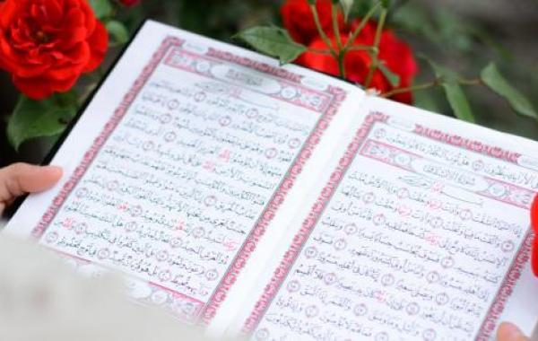 أجمل سورة في القرآن