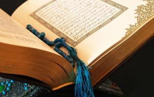 عدد السور المدنية في القرآن الكريم
