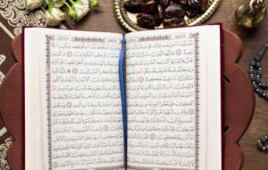 عدد سور القرآن الكريم