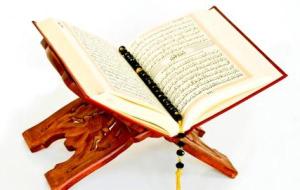 كم عدد أجزاء القرآن