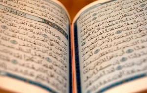 كم عدد السور المكية والمدنية في القرآن الكريم