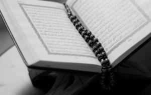 ما عدد سور القرآن المكية والمدنية