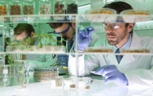 طرق التعقيم في مختبرات زراعة الأنسجة النباتية