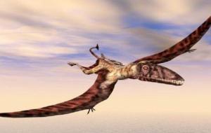 أبرز أنواع الديناصورات الطائرة