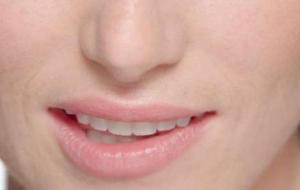 أجزاء الفم في الإنسان
