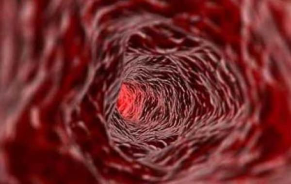 عدد كريات الدم الحمراء في جسم الإنسان
