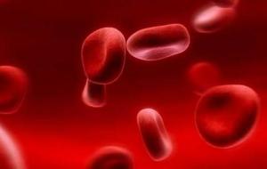 كم لتراً من الدم في جسم الإنسان