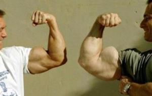 ما هي أكبر عضلة في جسم الإنسان