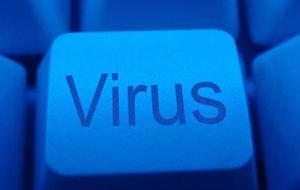 أنواع الفيروسات في الحاسوب