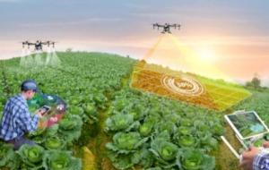 أهمية التكنولوجيا في الزراعة