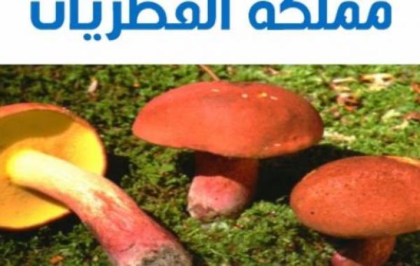 الخصائص العامة للفطريات