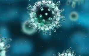 الفرق بين فيروس كورونا والإنفلونزا