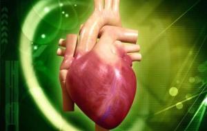 طرق الوقاية من أمراض القلب