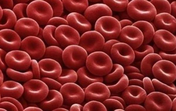 كيف أرفع نسبة الهيموجلوبين في الدم