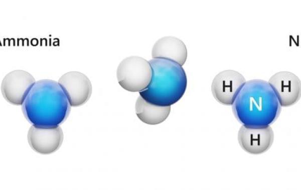 ما هو غاز الأمونيا