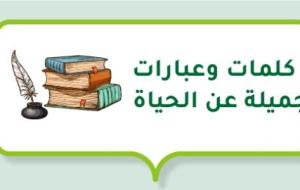 كلمات وعبارات جميلة عن الحياة