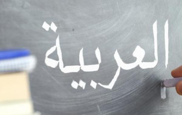 تعليم اللغة العربية للمبتدئين