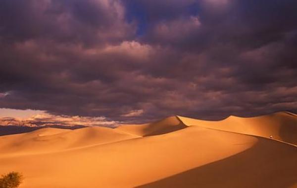 ما هي مميزات المناخ الصحراوي