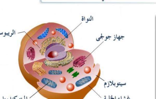 مكونات الخلية الحية