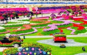 حديقة الورد في دبي