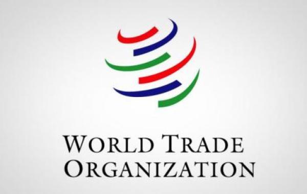 أهمية التجارة الدولية