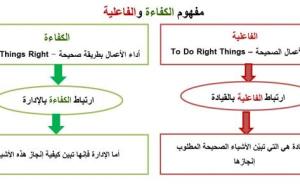 الفرق بين الكفاءة والفاعلية