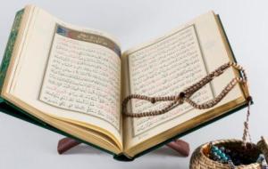 أنواع الخطوط التي كتب فيها القرآن الكريم