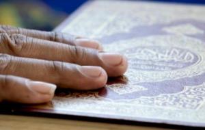 شهادة الزور في القرآن الكريم