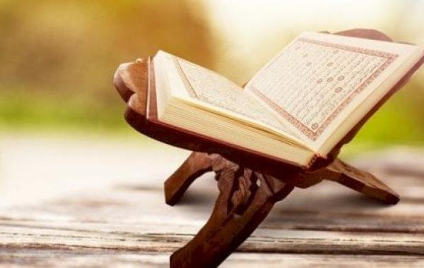 آيات المحبة في القرآن الكريم