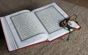 عدد الآيات المنسوخة في القرآن الكريم