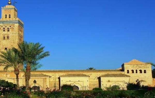 عدد المساجد في المغرب