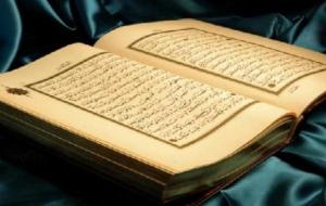 كم سورة في القرآن