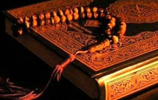 كم عدد السور المدنية في القرآن