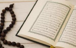 كم عدد السور المكية في القرآن الكريم