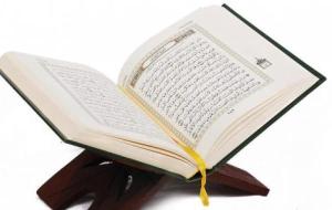 كم عدد السور في القرآن