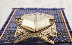 كم عدد سور القرآن