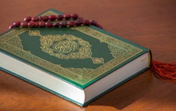 كم عدد سور القرآن الكريم