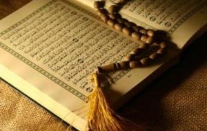 كم عدد سور القرآن المكية