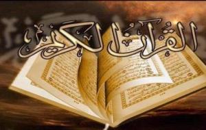 ما هو عدد سور القرآن الكريم
