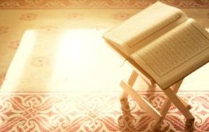 معنى كلمة السنون في القرآن