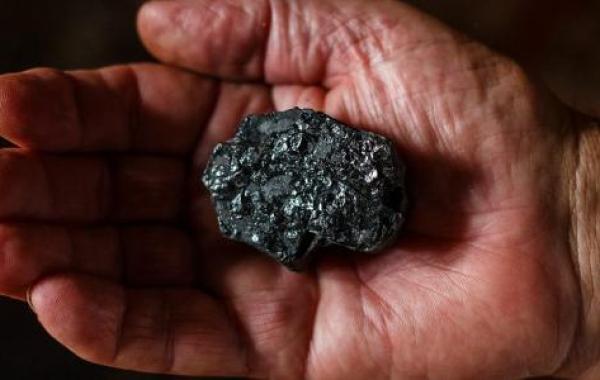 كيف يتكون الفحم الحجري