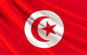 عدد ولايات تونس