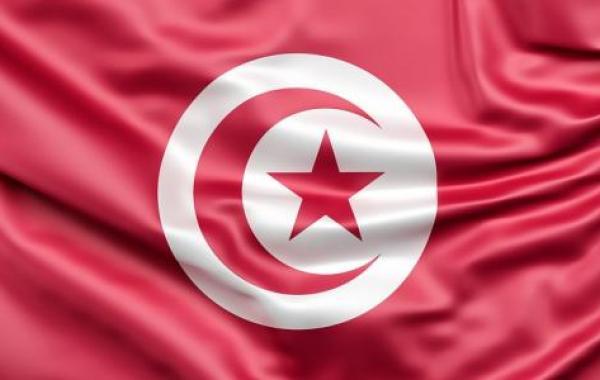 ما هو علم تونس