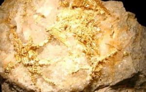 شكل الذهب في الصخور