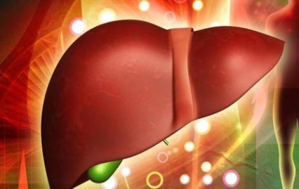 مراحل غيبوبة الكبد