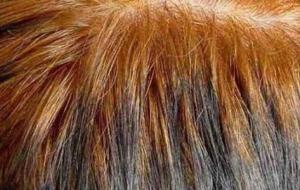 أضرار سحب لون الشعر