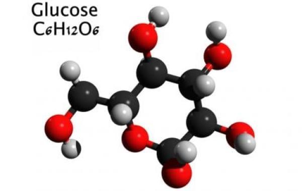 أين يوجد سكر الجلوكوز