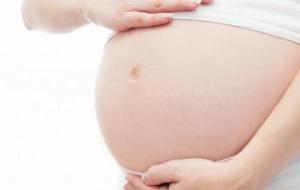 فوائد وأضرار المرمية على الحامل