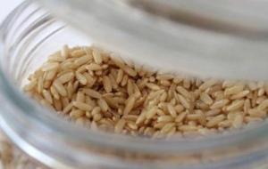مقدار زكاة الفطر بالكيلو للأرز