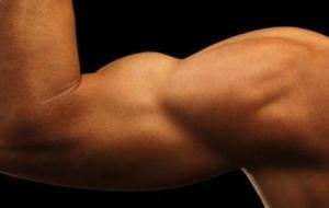 طريقة تقوية الجسم والعضلات